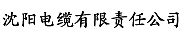 亚洲欧美日韩综合久久电缆厂logo